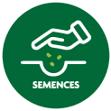 Semence